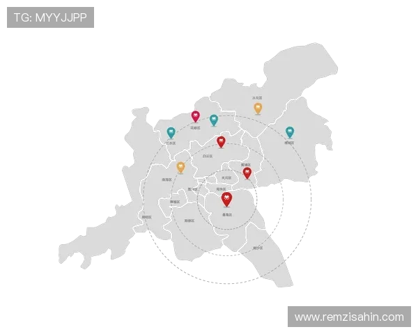 凯发k8k8官网首页登录入口，确保账号安全的登录操作流程