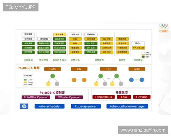 DB真人旗舰集团的用户评价与口碑分析,真实反馈助你做出明智选择